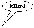 Ovale Legende:  MH.cs-2